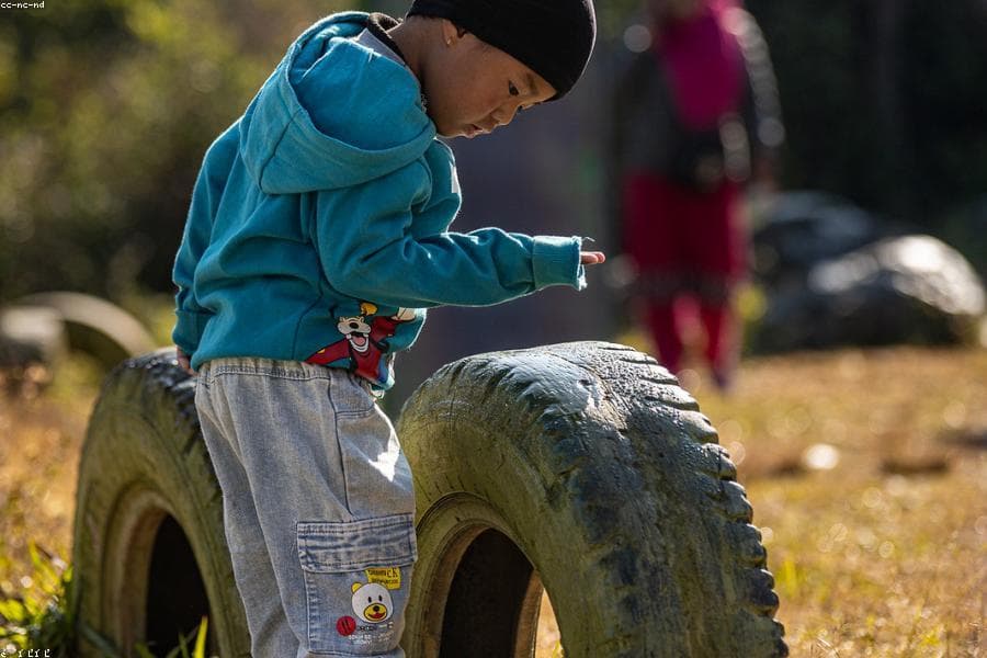 Education — stock photo